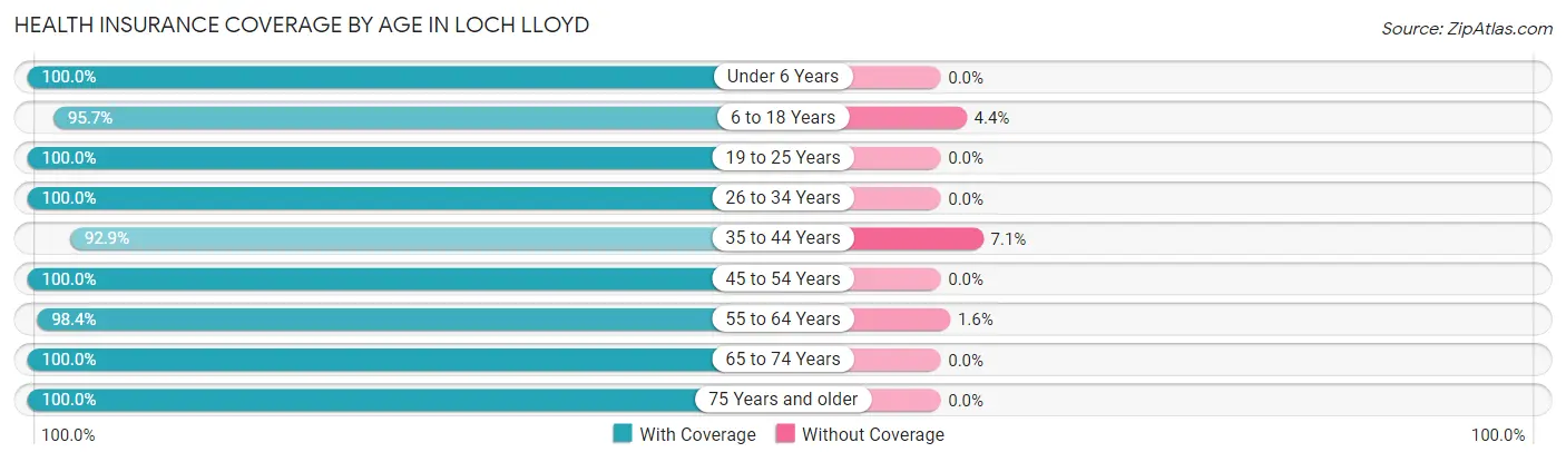 Health Insurance Coverage by Age in Loch Lloyd