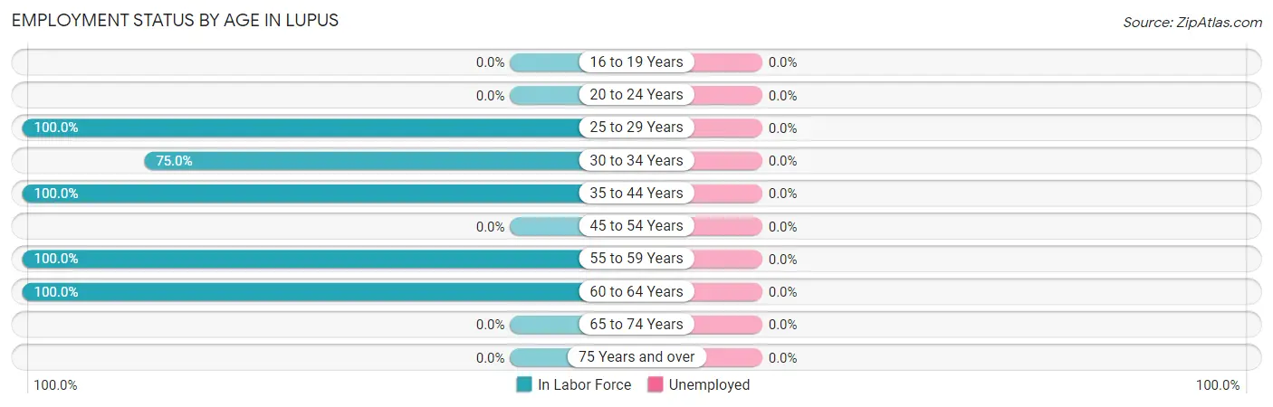 Employment Status by Age in Lupus