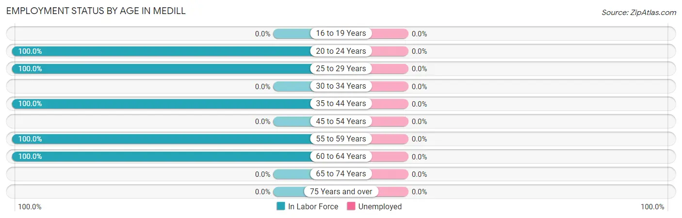 Employment Status by Age in Medill
