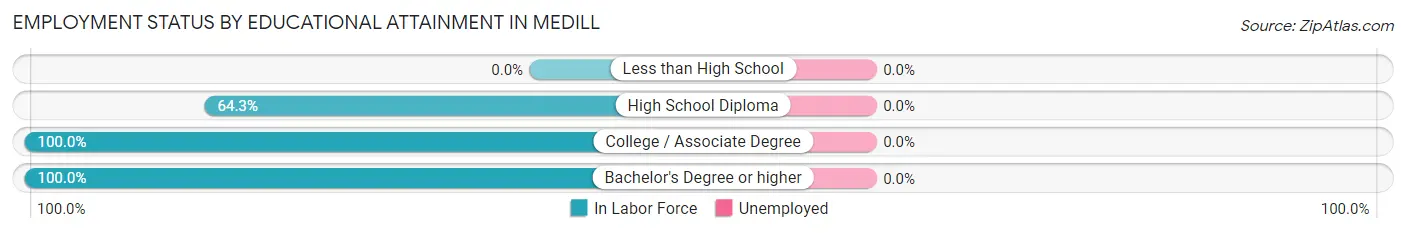 Employment Status by Educational Attainment in Medill