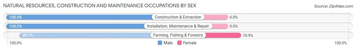 Natural Resources, Construction and Maintenance Occupations by Sex in Mexico