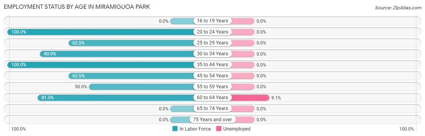 Employment Status by Age in Miramiguoa Park
