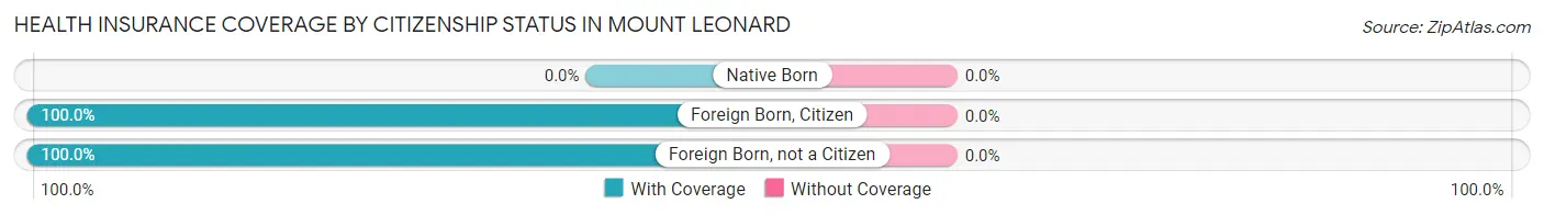 Health Insurance Coverage by Citizenship Status in Mount Leonard
