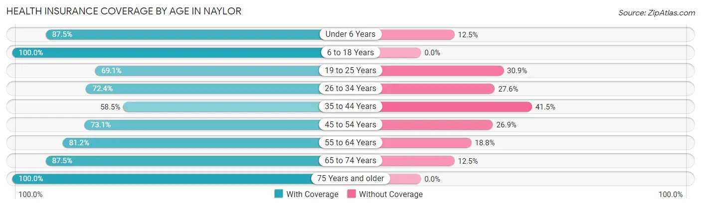 Health Insurance Coverage by Age in Naylor