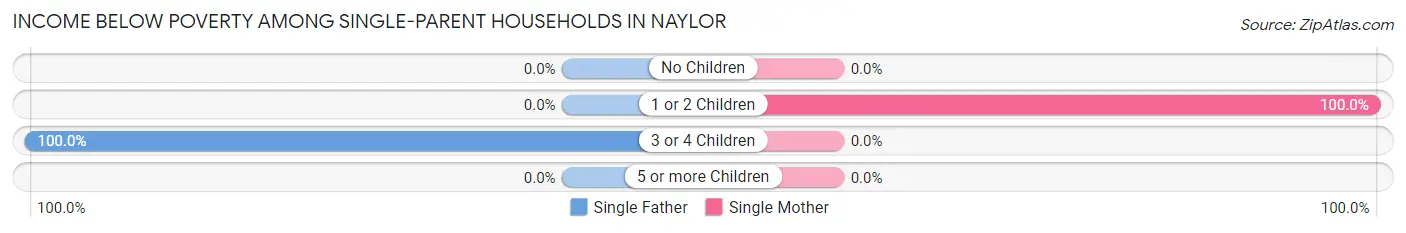 Income Below Poverty Among Single-Parent Households in Naylor