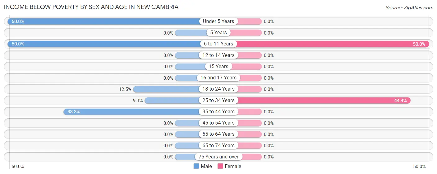 Income Below Poverty by Sex and Age in New Cambria