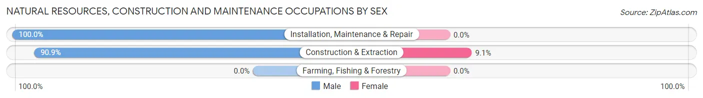 Natural Resources, Construction and Maintenance Occupations by Sex in New Cambria