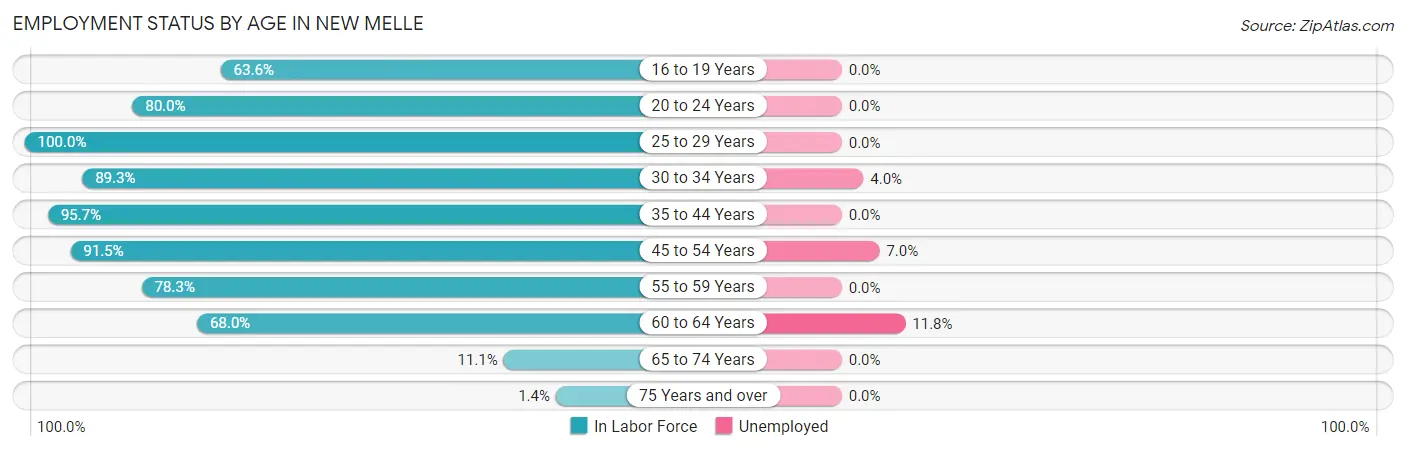 Employment Status by Age in New Melle
