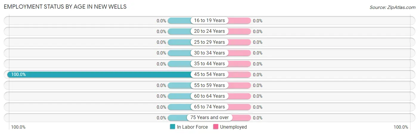Employment Status by Age in New Wells