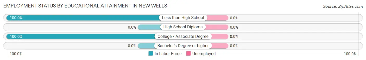 Employment Status by Educational Attainment in New Wells