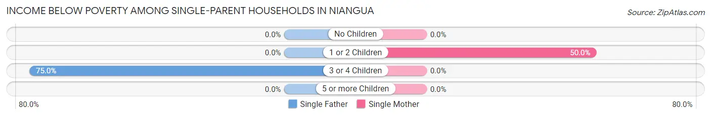 Income Below Poverty Among Single-Parent Households in Niangua