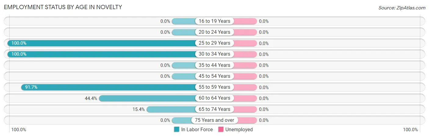 Employment Status by Age in Novelty