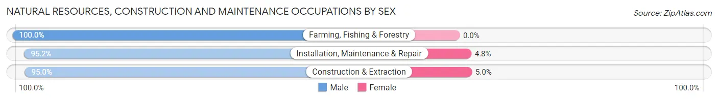 Natural Resources, Construction and Maintenance Occupations by Sex in Olympian Village