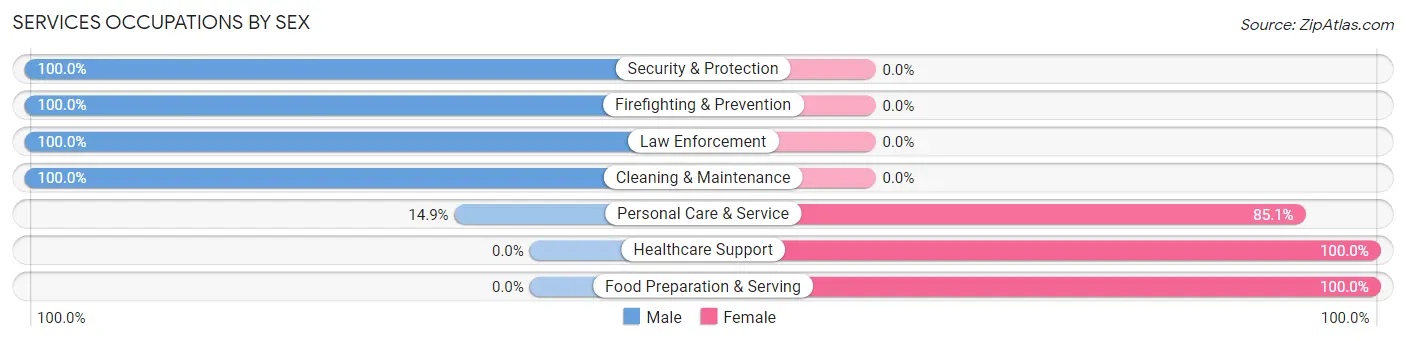Services Occupations by Sex in Palmyra