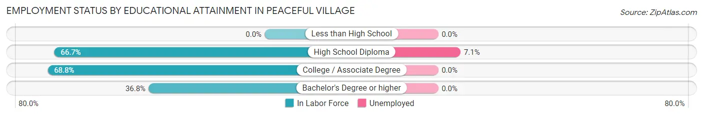 Employment Status by Educational Attainment in Peaceful Village