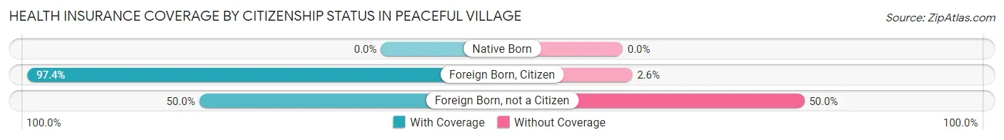 Health Insurance Coverage by Citizenship Status in Peaceful Village