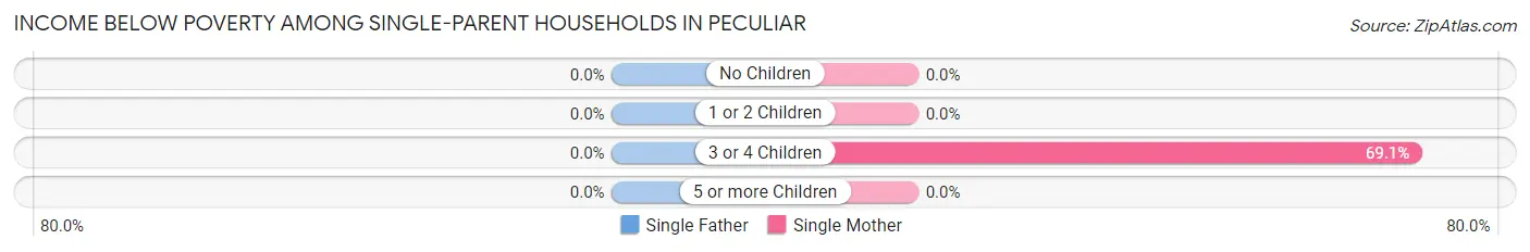 Income Below Poverty Among Single-Parent Households in Peculiar