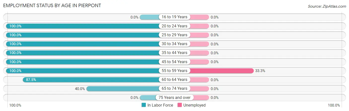 Employment Status by Age in Pierpont