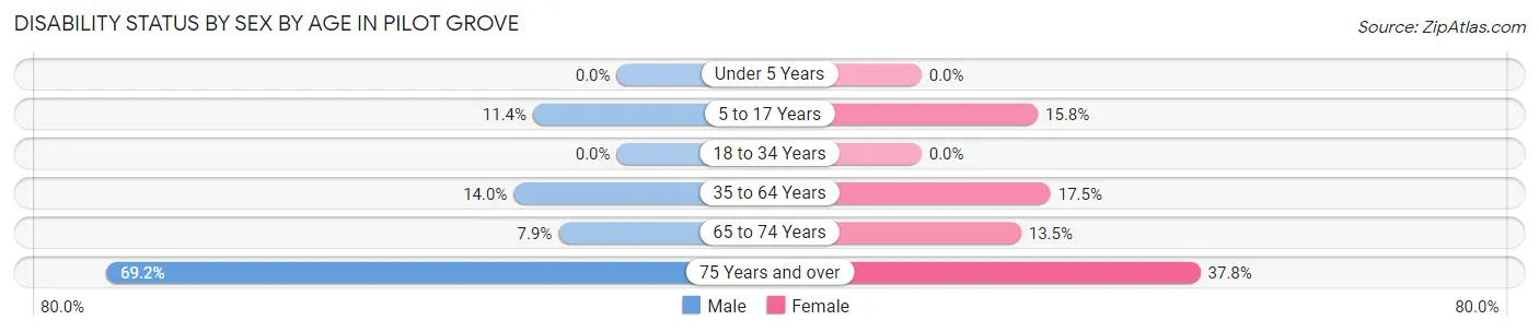 Disability Status by Sex by Age in Pilot Grove