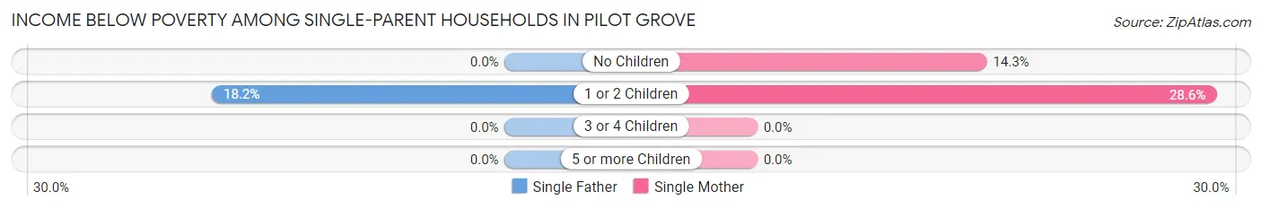 Income Below Poverty Among Single-Parent Households in Pilot Grove