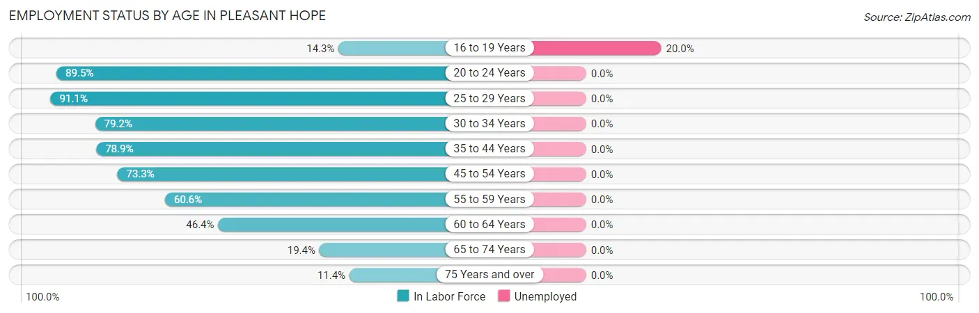 Employment Status by Age in Pleasant Hope
