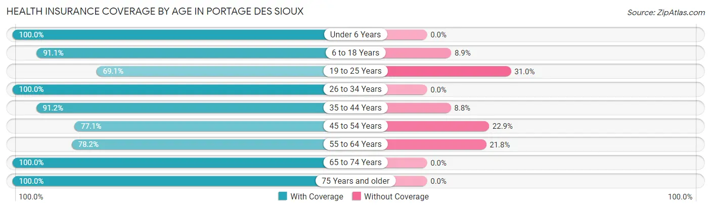 Health Insurance Coverage by Age in Portage Des Sioux