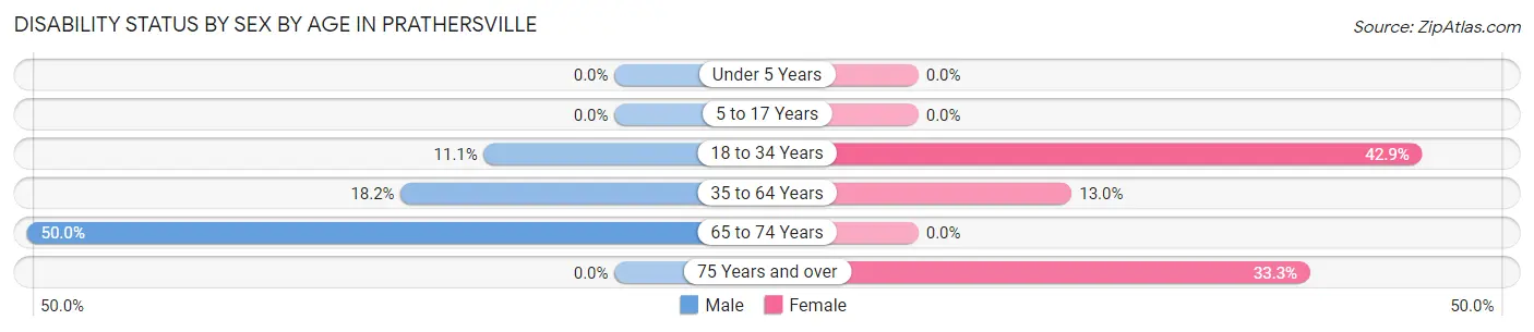 Disability Status by Sex by Age in Prathersville