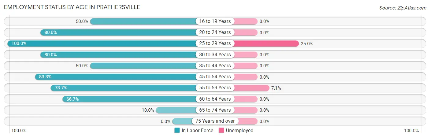 Employment Status by Age in Prathersville