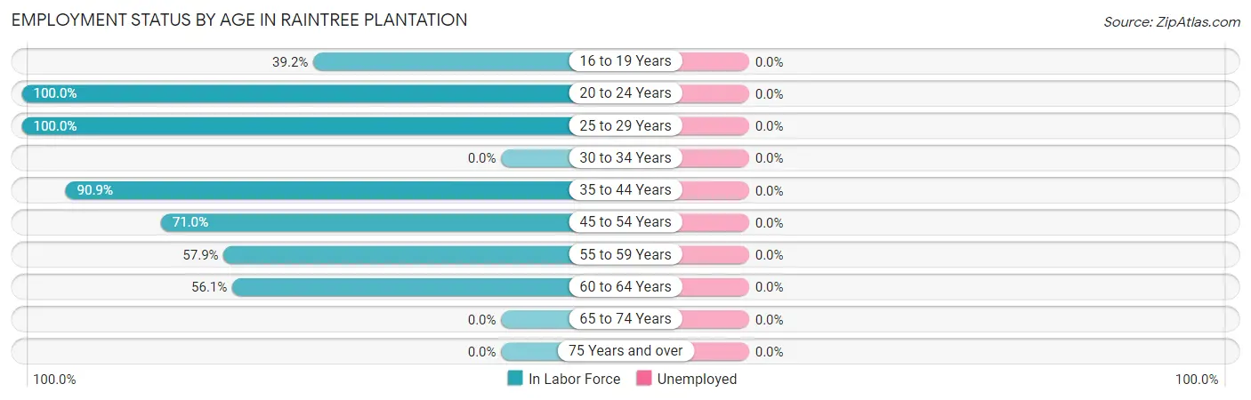 Employment Status by Age in Raintree Plantation