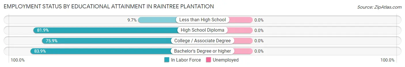 Employment Status by Educational Attainment in Raintree Plantation