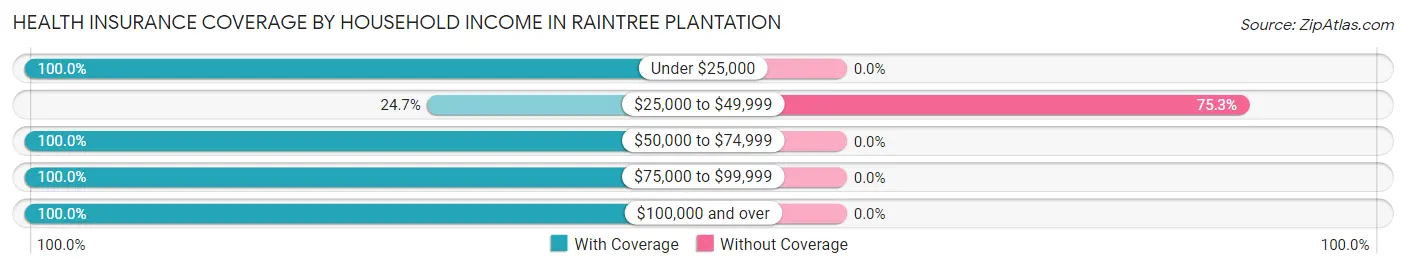 Health Insurance Coverage by Household Income in Raintree Plantation