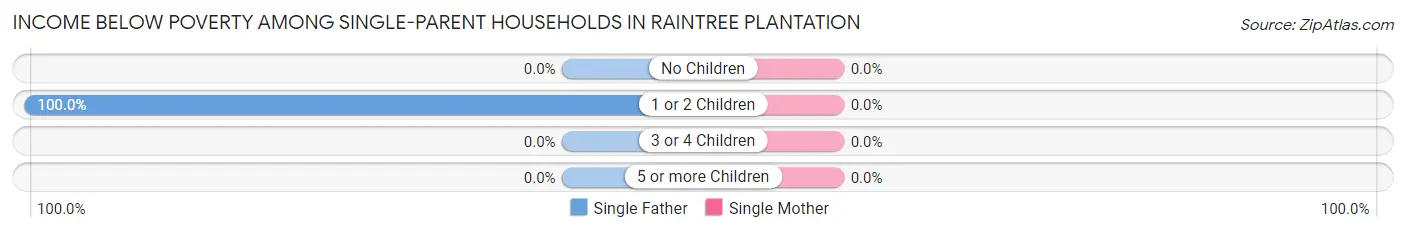 Income Below Poverty Among Single-Parent Households in Raintree Plantation