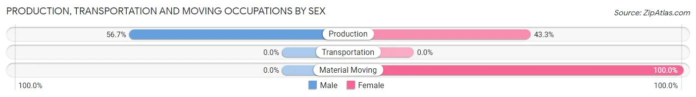 Production, Transportation and Moving Occupations by Sex in Raintree Plantation
