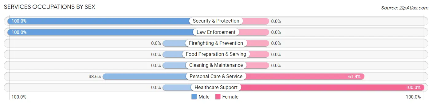 Services Occupations by Sex in Raintree Plantation