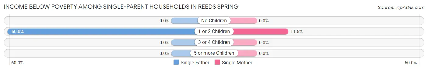 Income Below Poverty Among Single-Parent Households in Reeds Spring