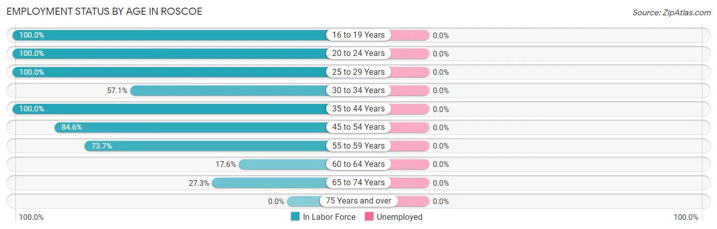 Employment Status by Age in Roscoe