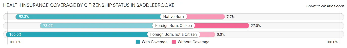 Health Insurance Coverage by Citizenship Status in Saddlebrooke