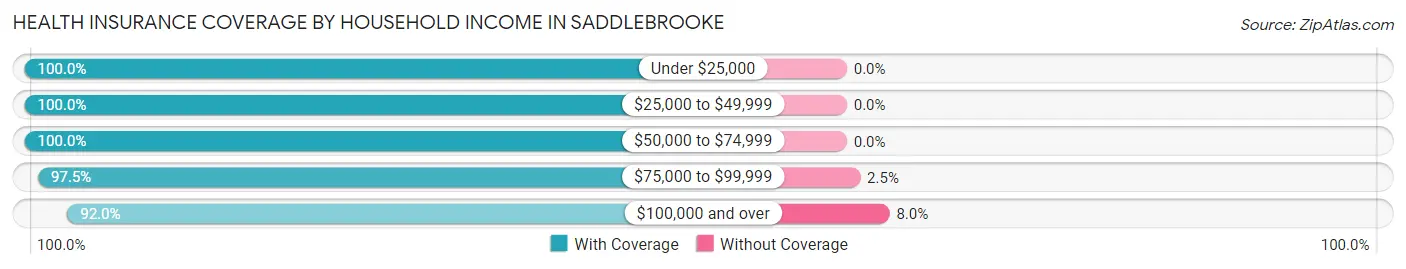 Health Insurance Coverage by Household Income in Saddlebrooke