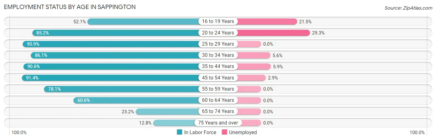 Employment Status by Age in Sappington