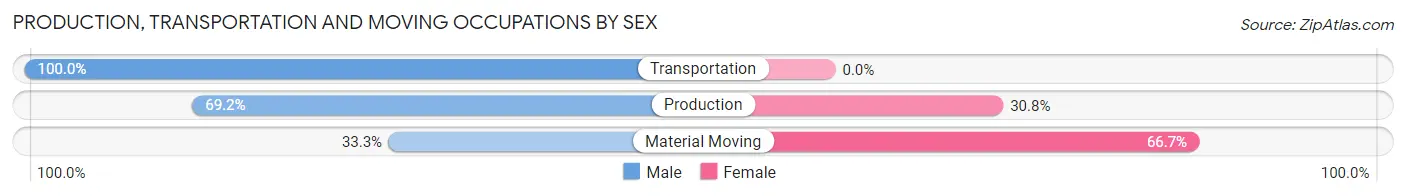 Production, Transportation and Moving Occupations by Sex in Sheldon