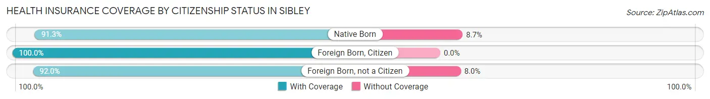 Health Insurance Coverage by Citizenship Status in Sibley