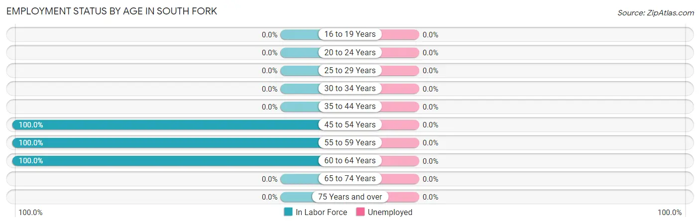 Employment Status by Age in South Fork