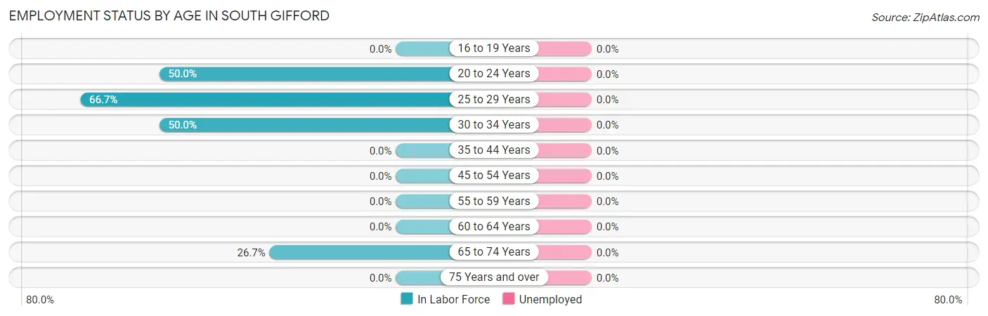 Employment Status by Age in South Gifford