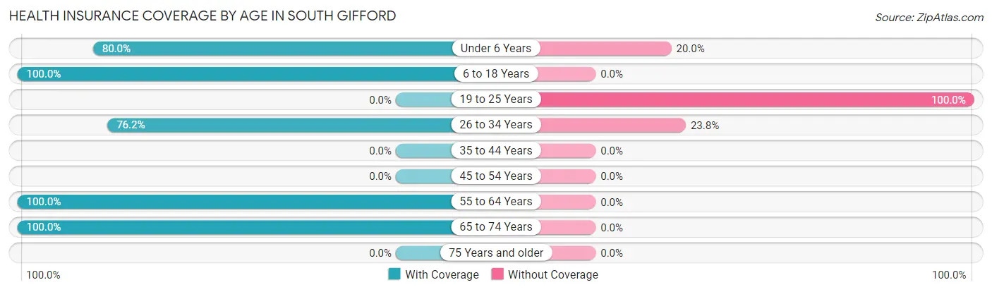 Health Insurance Coverage by Age in South Gifford