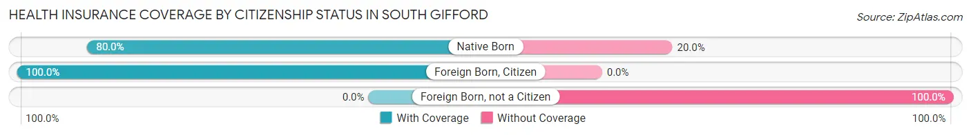 Health Insurance Coverage by Citizenship Status in South Gifford