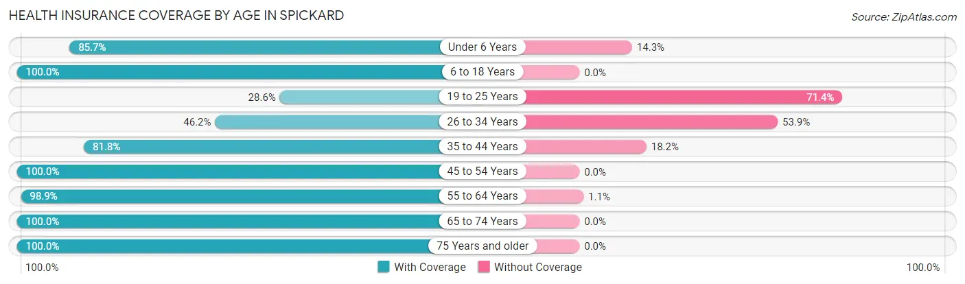 Health Insurance Coverage by Age in Spickard