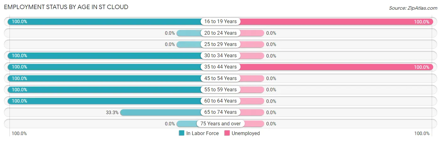 Employment Status by Age in St Cloud