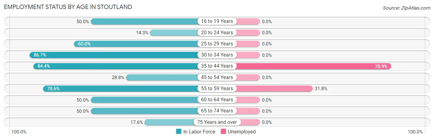 Employment Status by Age in Stoutland