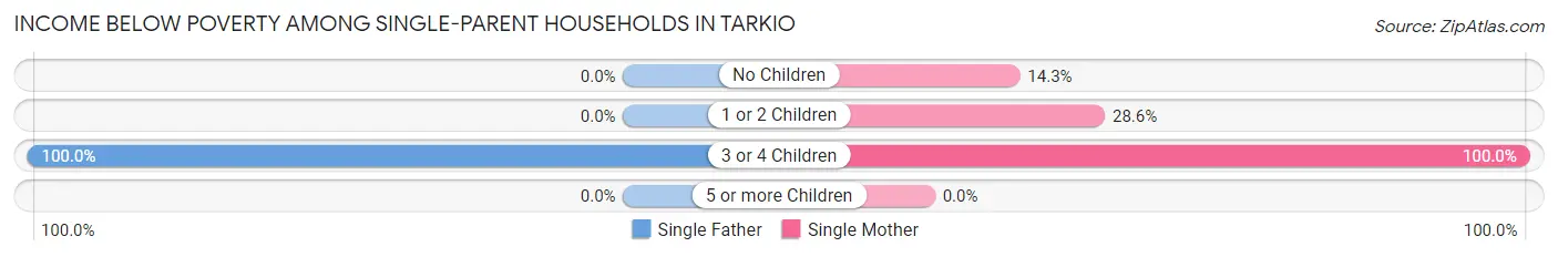 Income Below Poverty Among Single-Parent Households in Tarkio