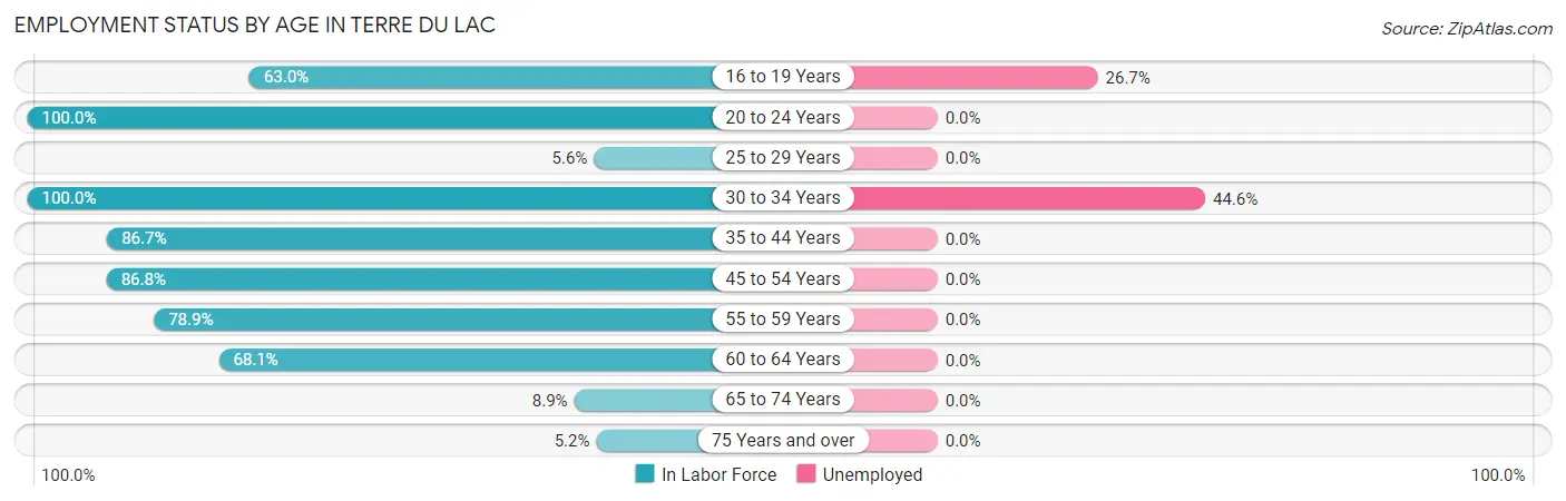 Employment Status by Age in Terre du Lac